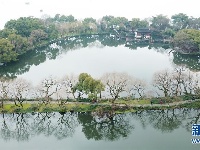 雨后西湖