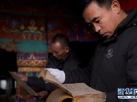 我国将斥资3亿元开展布达拉宫古籍文献保护利用工作 
