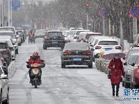 北京迎来猪年首场降雪