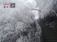 雪来了！十堰武当山一下美成了玄岳