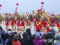 龙腾狮跃锣鼓齐鸣闹元宵