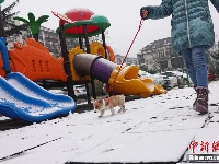 元宵节北京迎降雪