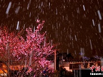 全国多地迎来降雪天气