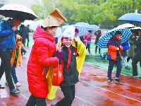 别样情趣春雨中