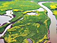 城中湿地 人鸟相安
