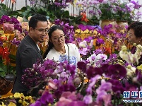 广东深圳：逛花市 迎新春