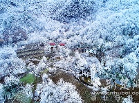 五峰现“冰晶森林”冬景 如梦如幻似童话世界