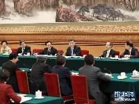 习近平参加河南代表团审议