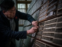湖北60后硬核老板：卖房收藏千万块铅字，自建活字博物馆