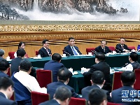 习近平参加甘肃代表团审议