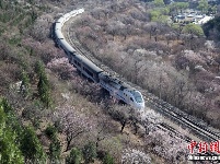 开往春天的列车