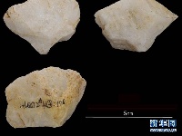 河南发现3万-4万年前古人类用火遗迹