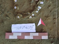 河南发现3万-4万年前古人类用火遗迹