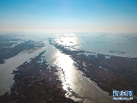 鸟瞰黄河口湿地风光