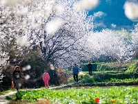 来十堰郧阳区樱桃沟村看美景