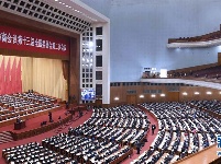 全国政协十三届二次会议举行第二次全体会议