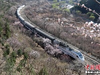 开往春天的列车