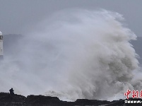 感受大自然威力！巨浪撞击海堤场面震撼