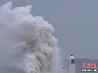 感受大自然威力！巨浪撞击海堤场面震撼