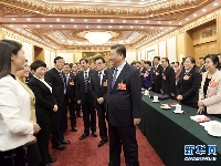 习近平参加河南代表团审议