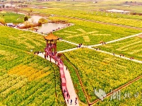 首届湖北油菜花旅游节开幕