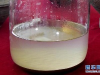 河南考古新发现：千年美酒其实是“仙药”