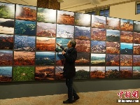 韩朝非军事区“废弃物”变身艺术展