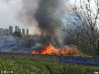 江苏大片荒地起火 朝周围居民区蔓延