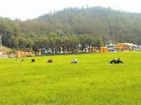 来十堰郧阳区樱桃沟村看美景