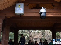 北京玉渊潭公园试点5G技术创建智慧公园