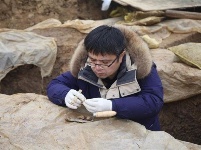 湖北城河遗址系统发掘揭开五千年前城市样本