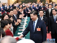 习近平参加河南代表团审议