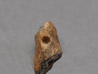 河南发现3万-4万年前古人类用火遗迹