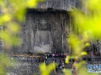 春到龙门