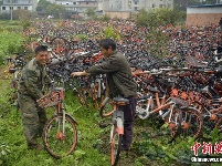 上千辆共享单车堆放农田