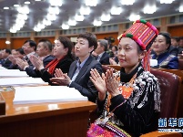 全国政协十三届二次会议举行第三次全体会议
