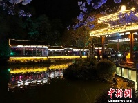 光影与花完美结合 无锡太湖鼋头渚夜樱美如画