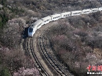 开往春天的列车