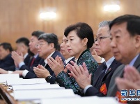 全国政协十三届二次会议举行第二次全体会议