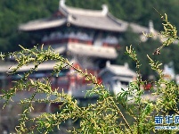 春到龙门
