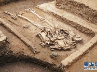 河南南阳发现5000年前玉石器制作中心聚落和疑似氏族首领墓葬