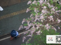 今晨，武汉“乌云压城”如科幻大片