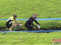 贵州湄潭：海内外自行车选手“茶海”竞技