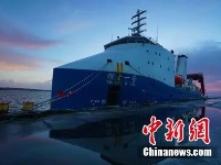 深海7000米 “揭秘”超深渊食物链顶端的狮子鱼