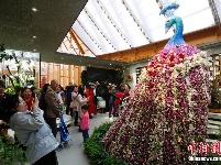 世园会正式对公众开放 市民畅游中国馆