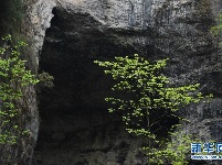 走近宁强地洞河天坑