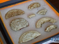 河南南阳发现5000年前玉石器制作中心聚落和疑似氏族首领墓葬