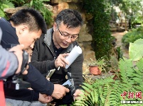 北京最“古老”植物温室即将全新开放 首展4种猴面包树