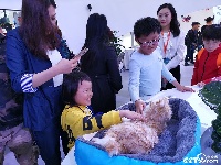 仿真猫亮相武汉世界大健康博览会 萌翻众人