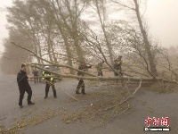 内蒙古科左后旗遭遇大风袭击 交警风沙中清理路面
